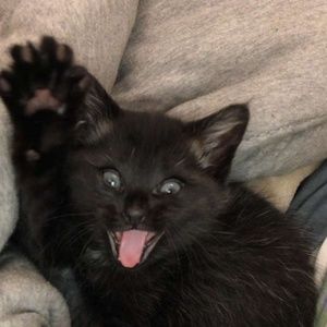 Meet your Posher, Jada